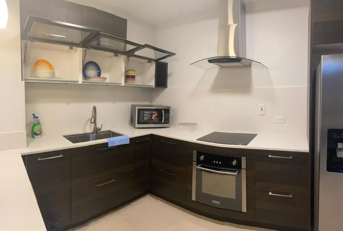 公寓 Parkhurst Suite 金斯敦